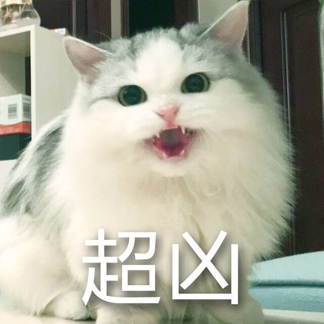 江小喵