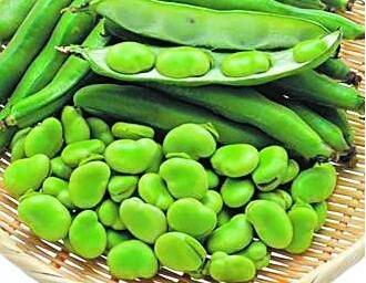 蚕豆