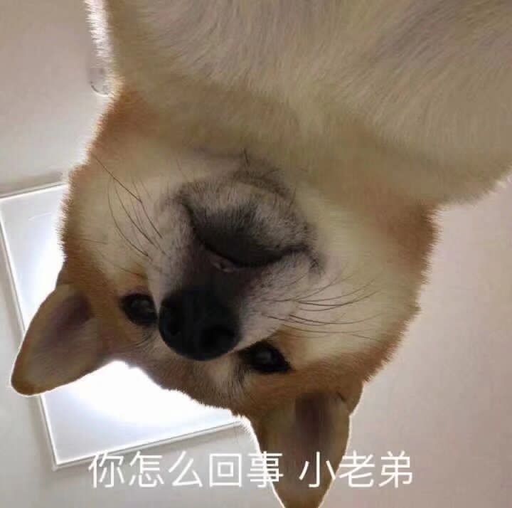 扬安