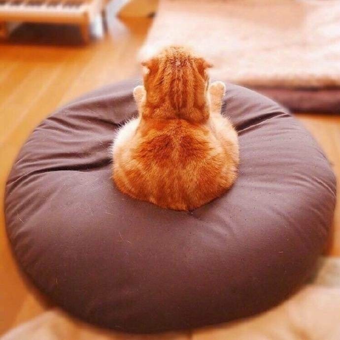 段落