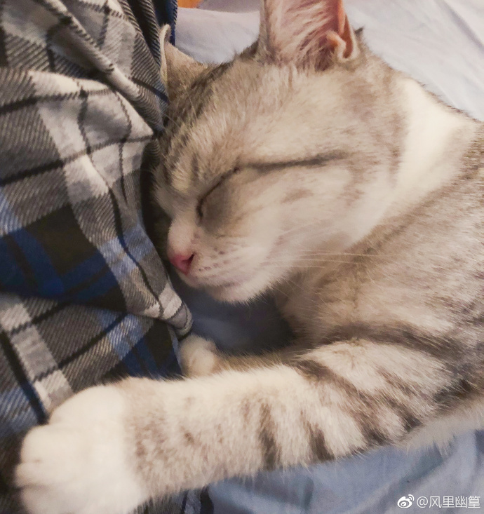 风篁