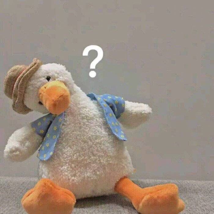 春华意暖
