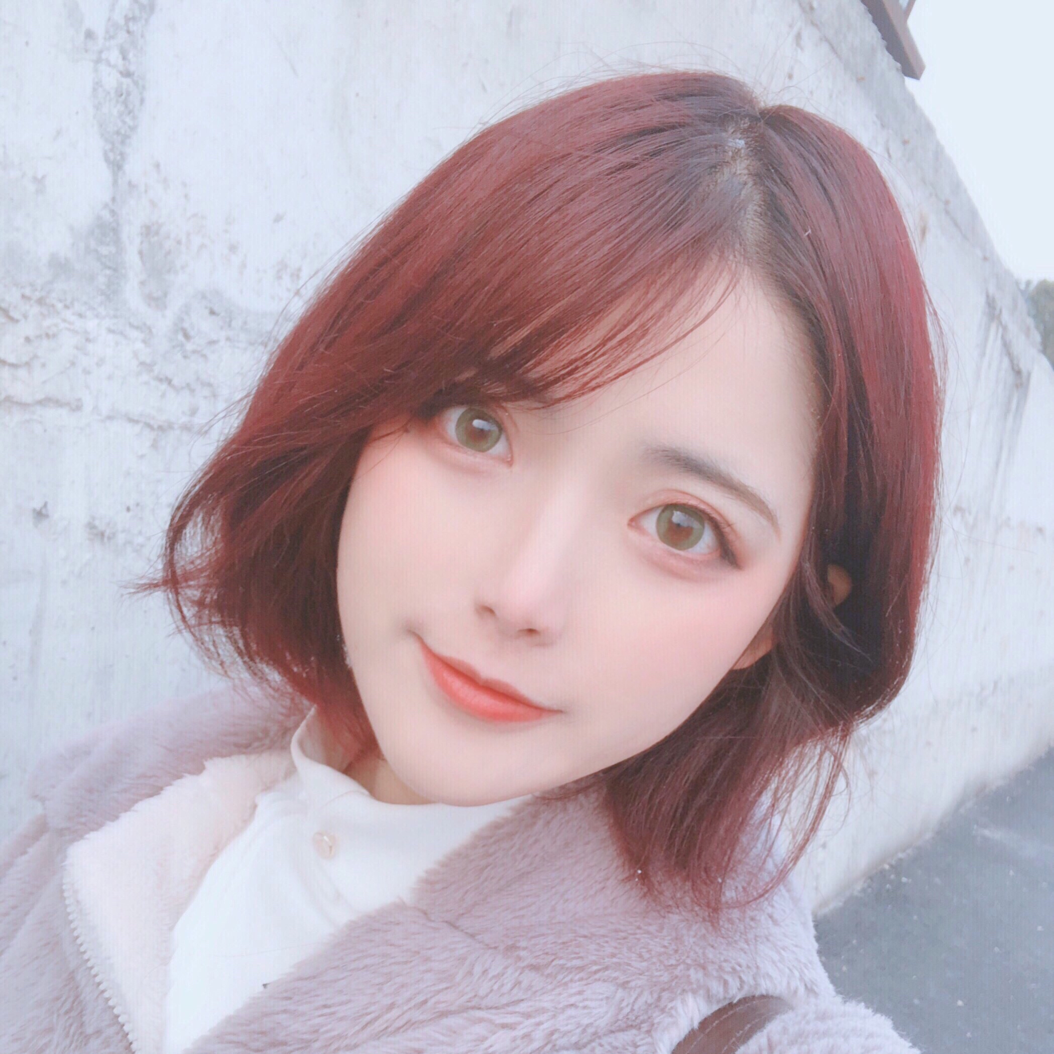 八筝白以