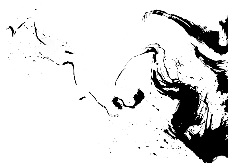 沉笙