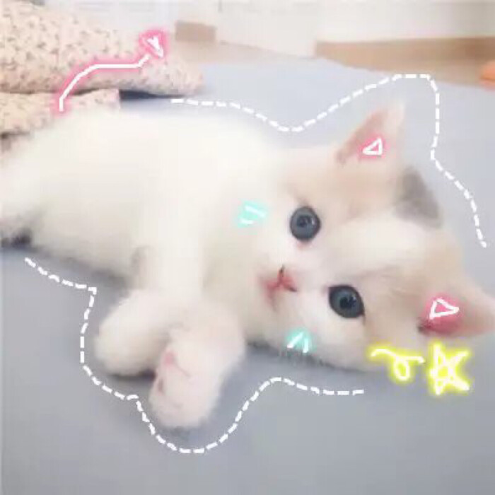 凛苳