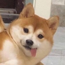 怪力乱神 怪力乱神