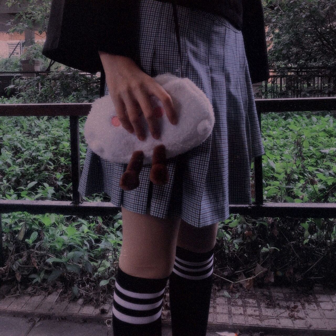 洛芊