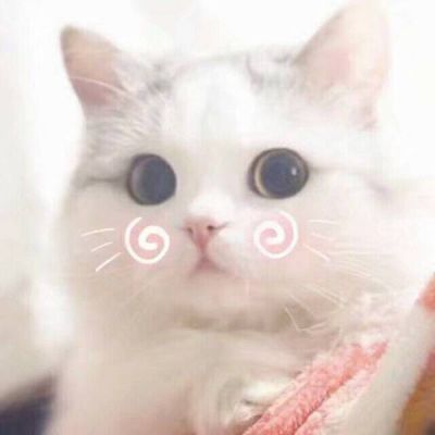 阿涵