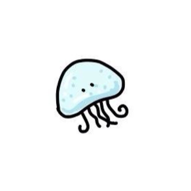 水母