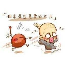 一只不给敲的木鱼