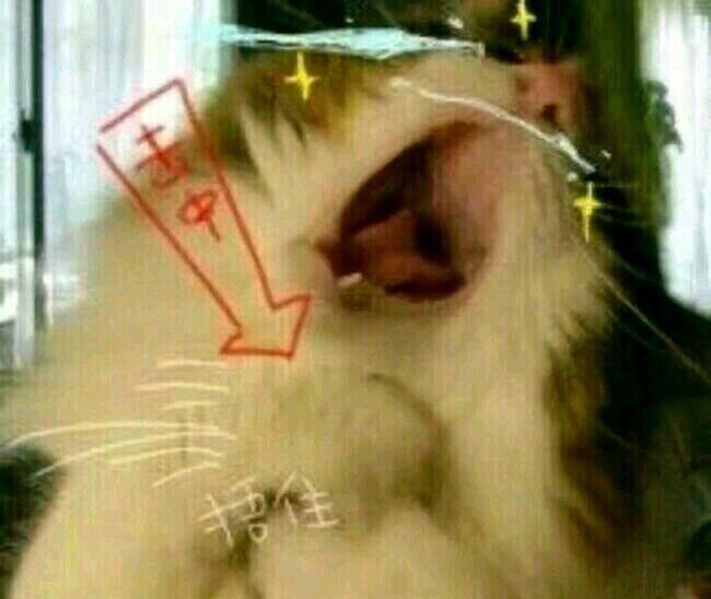 傲娇清歌 傲娇清歌