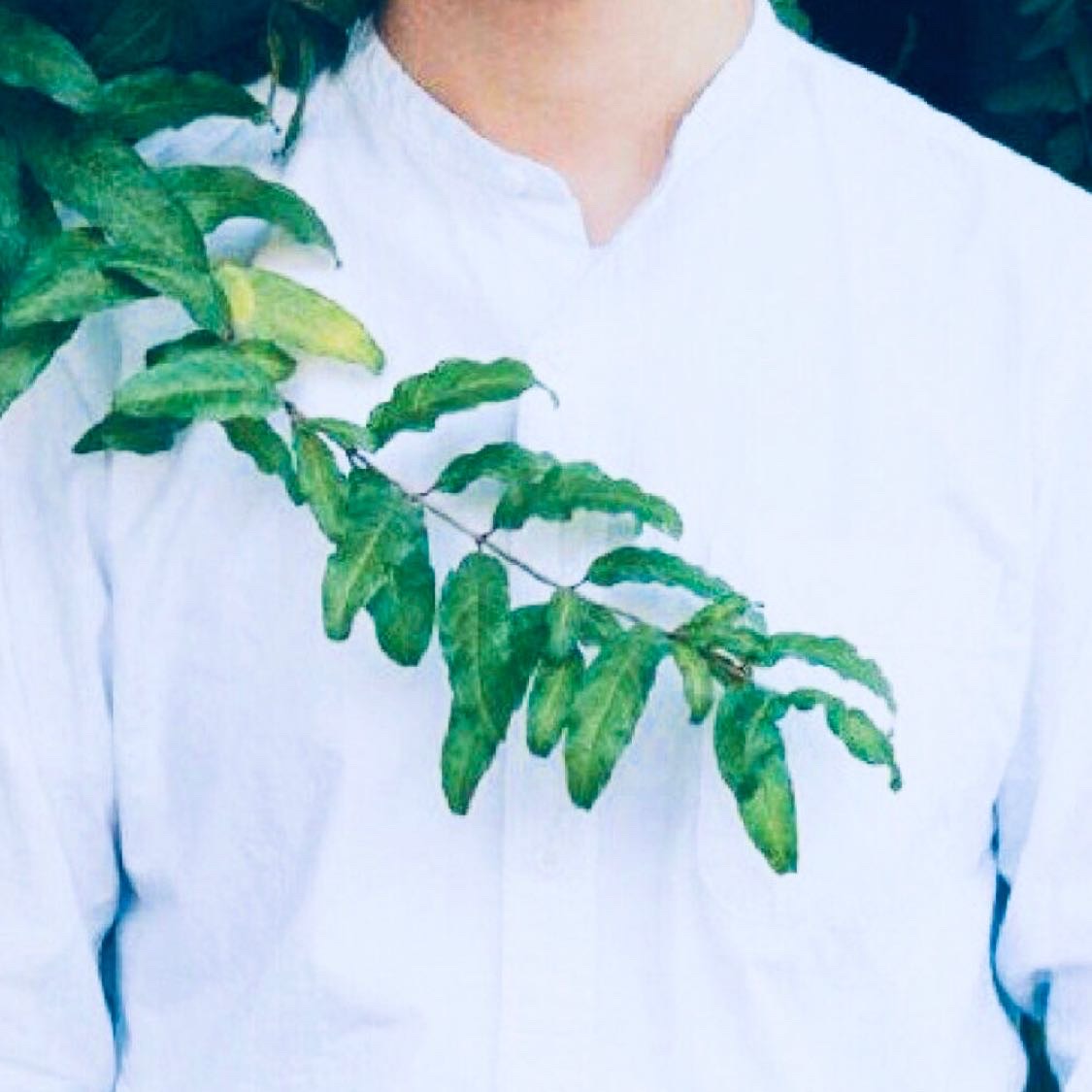 张振 张振