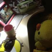 酷爱裸奔的熊猫