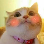 洛小爱