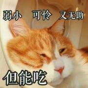 风雨如山