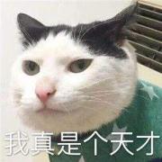 秦爱纷奢