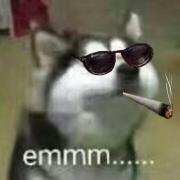 有食欲的三儿