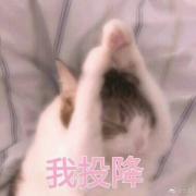 绣玉磬