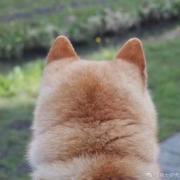 天问
