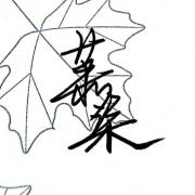 萧柒