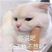 九慈