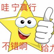 崽