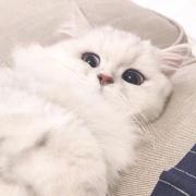 向未来