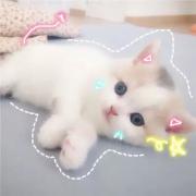 凛苳