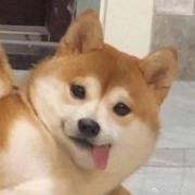 怪力乱神