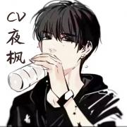 CV夜枫