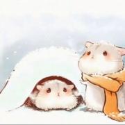 梧枝