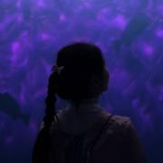 妤长安