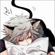 公猫