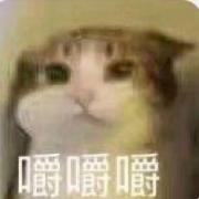 圈儿