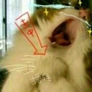 傲娇清歌