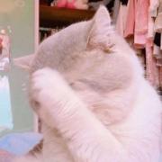 磬笙