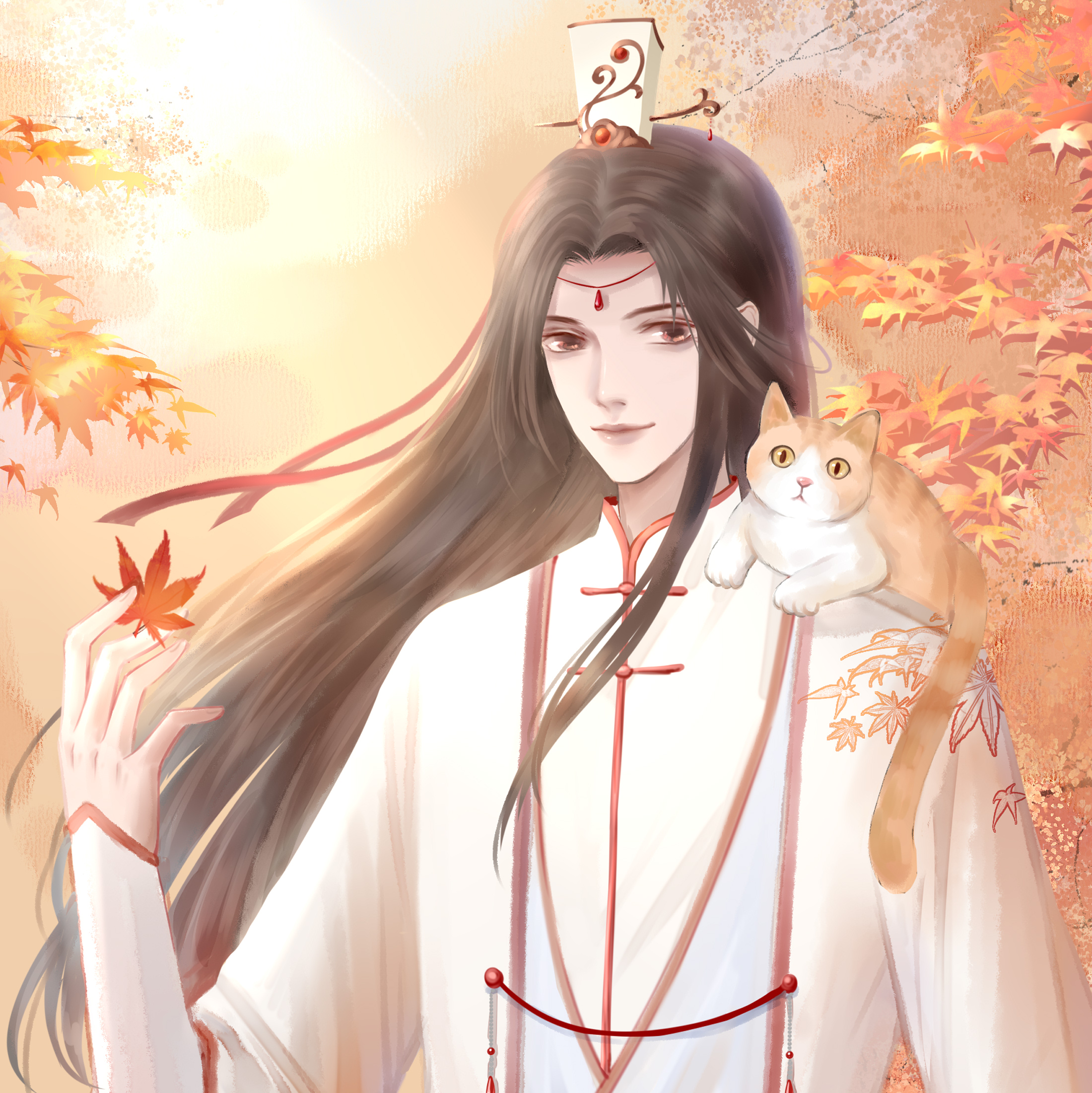 枫染 枫染