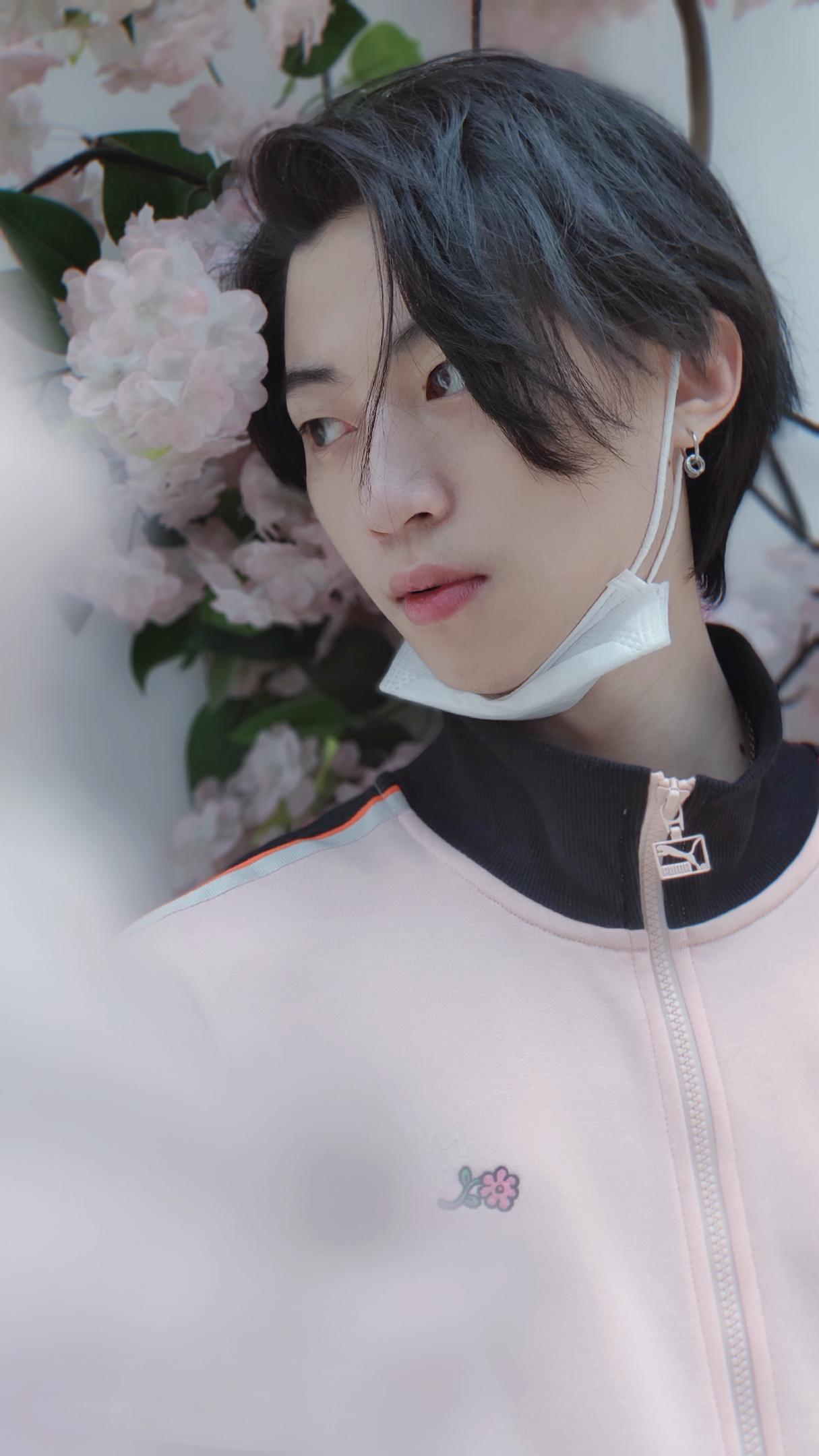 杨知远