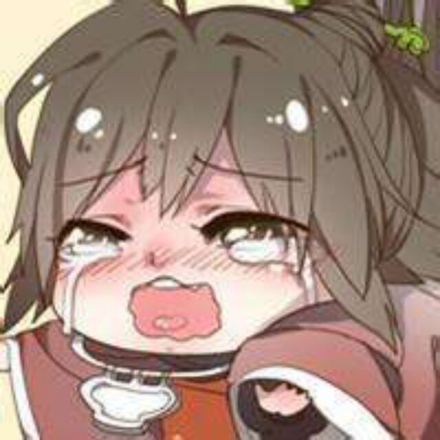 胖橘 胖橘