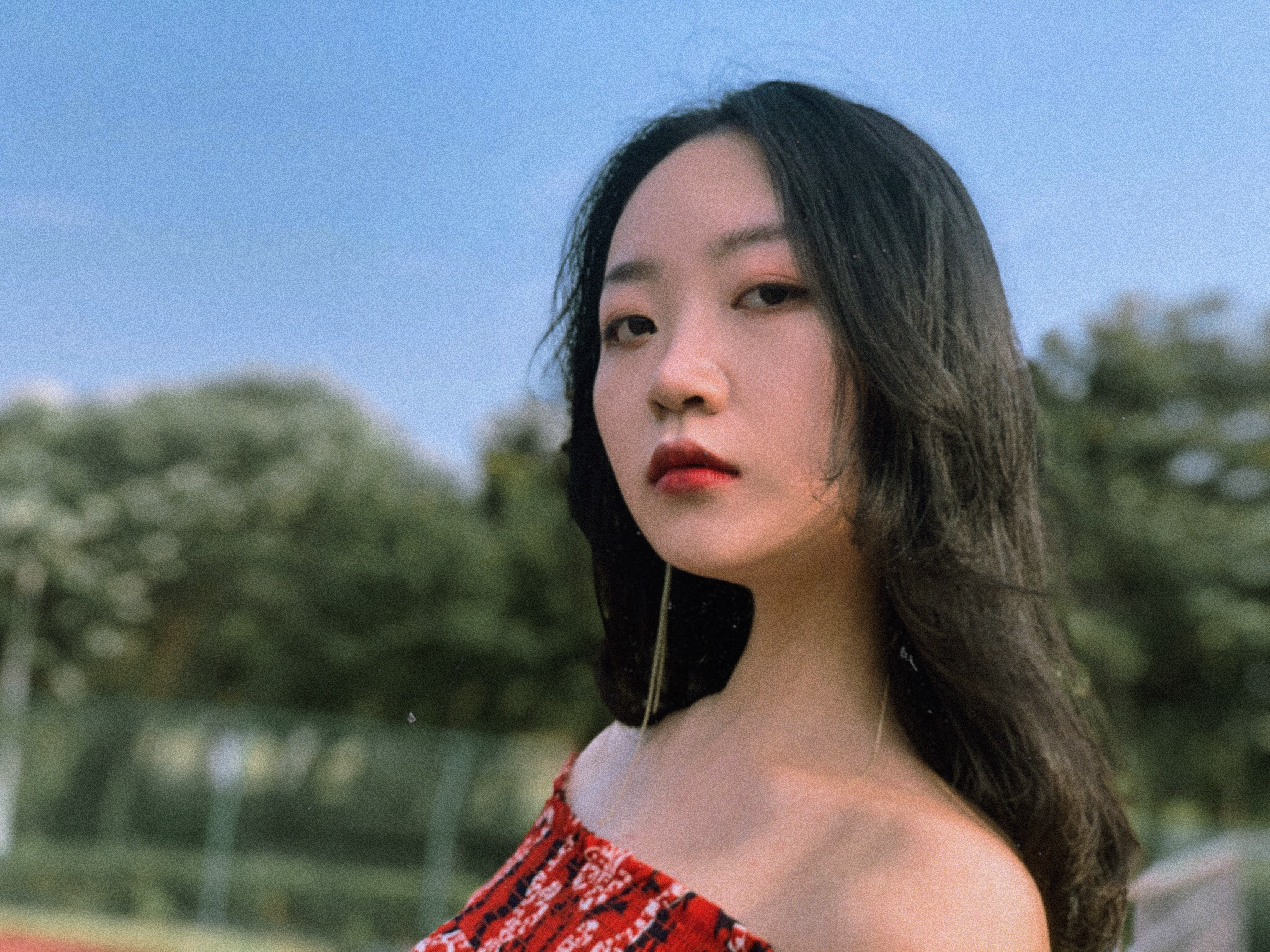 洛上书