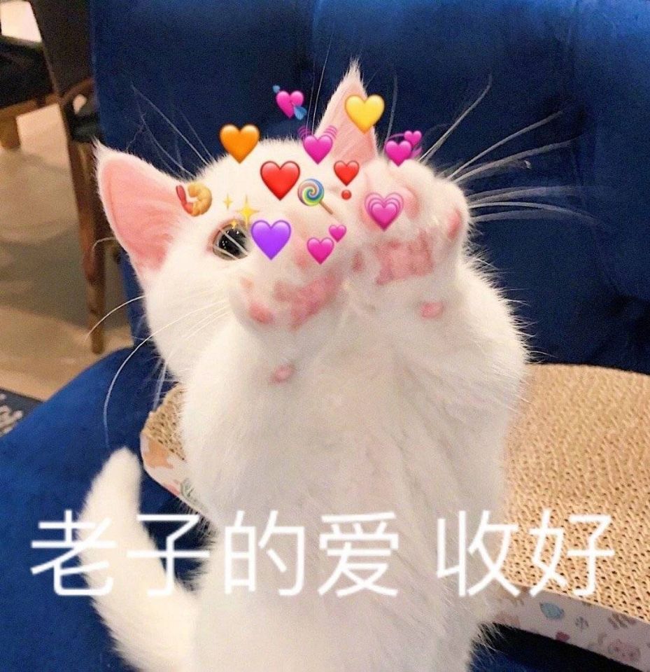 邑尘儿