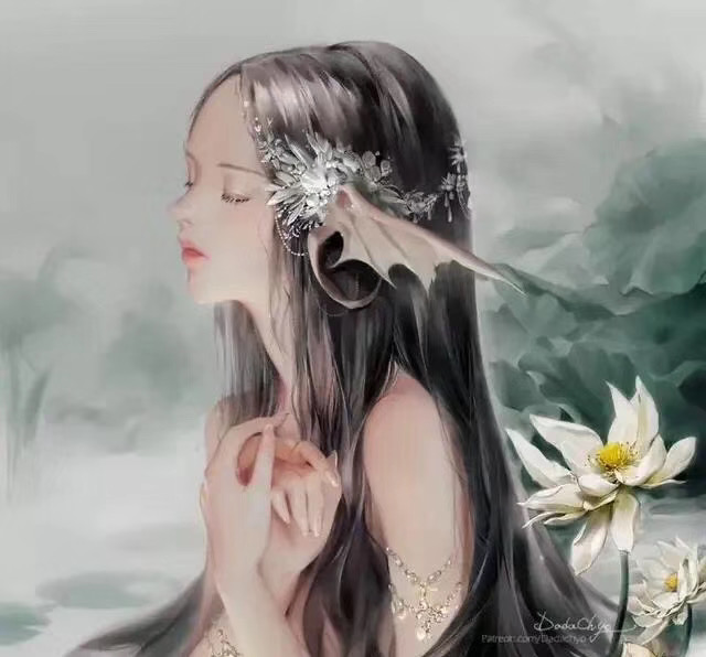 灰不过沧海的兔纸