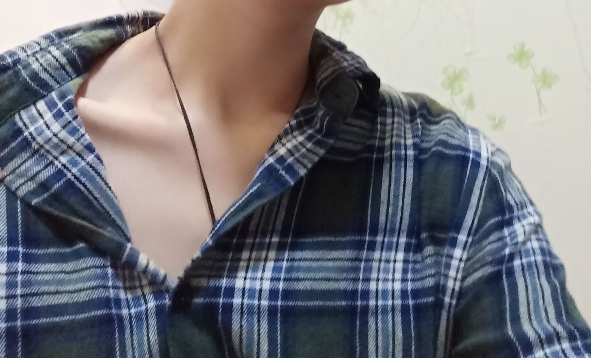 曦蓬 曦蓬