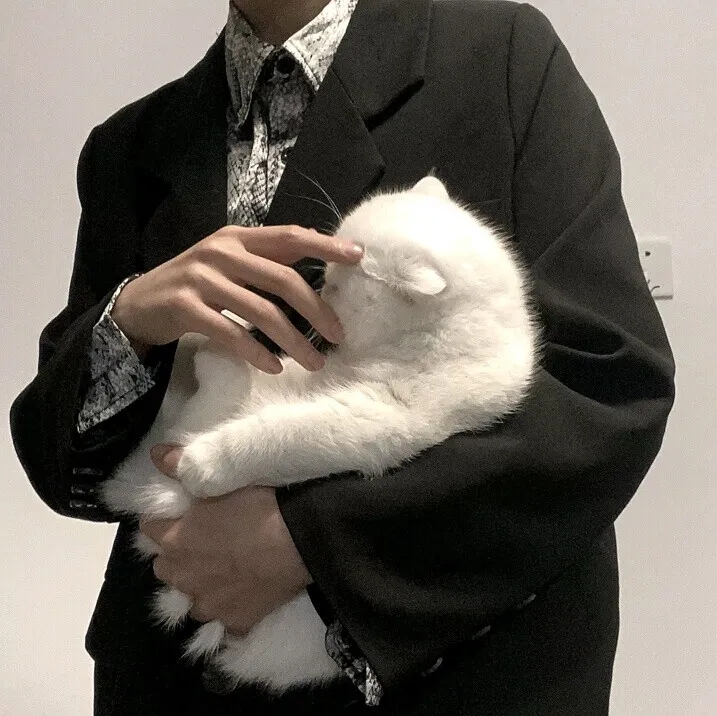 凡尘俗世