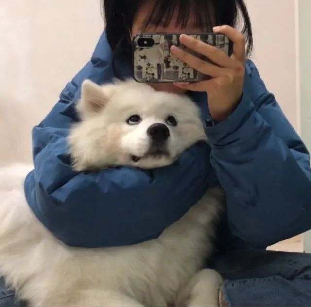 飞鸾