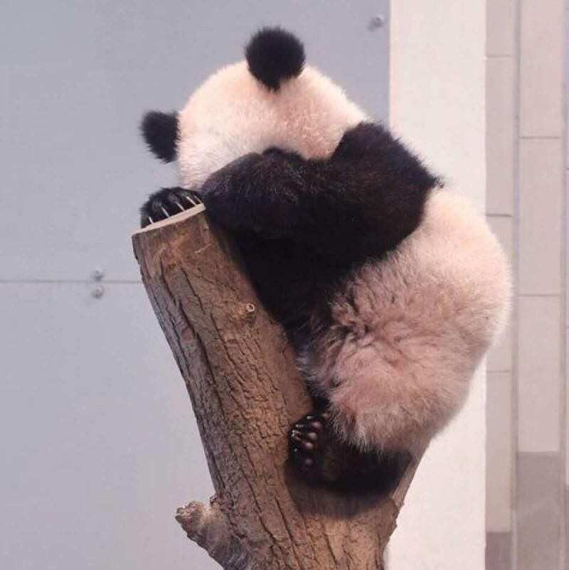 火花