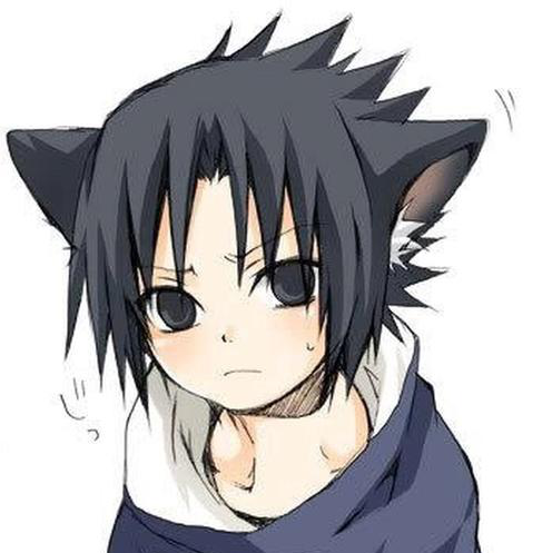 CV猪猪 CV猪猪