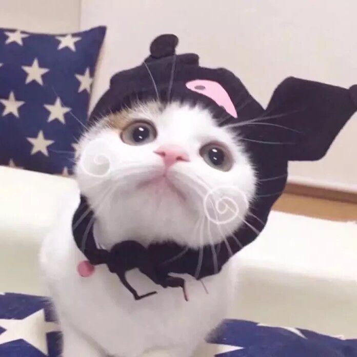 不夜侯
