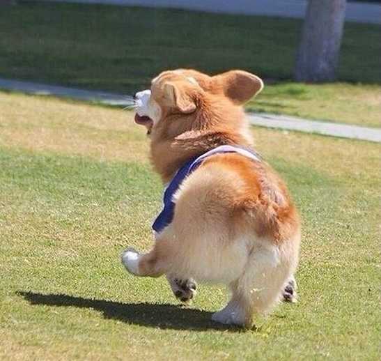 宋泽 宋泽