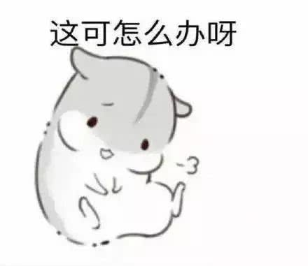 乔乔又怂怂 乔乔又怂怂